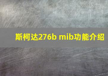 斯柯达276b mib功能介绍